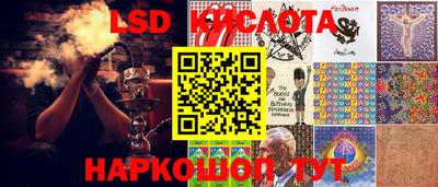 гидропоника Новокубанск