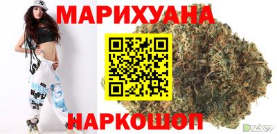 гашик Новозыбков