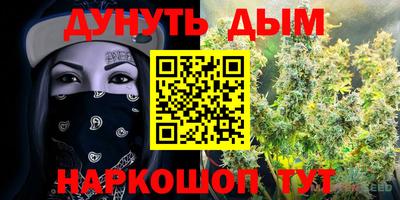 PSILOCYBIN Новодвинск