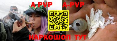 гашик Новозыбков