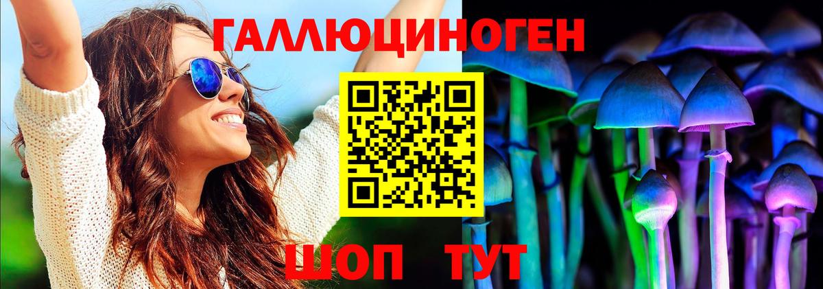 Галлюциногенные грибы GOLDEN TEACHER  Галлюциногенные грибы Cubensis  Вход с VPN  Тверь 